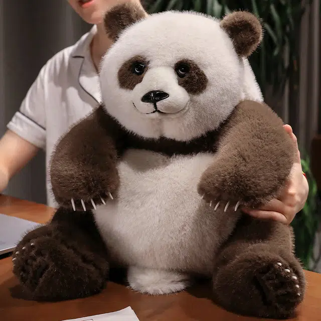 34cm