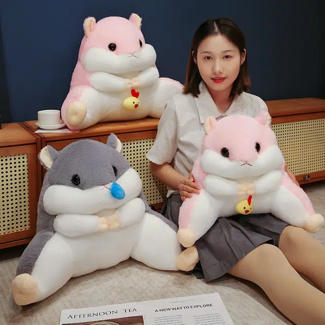 40cm55cm