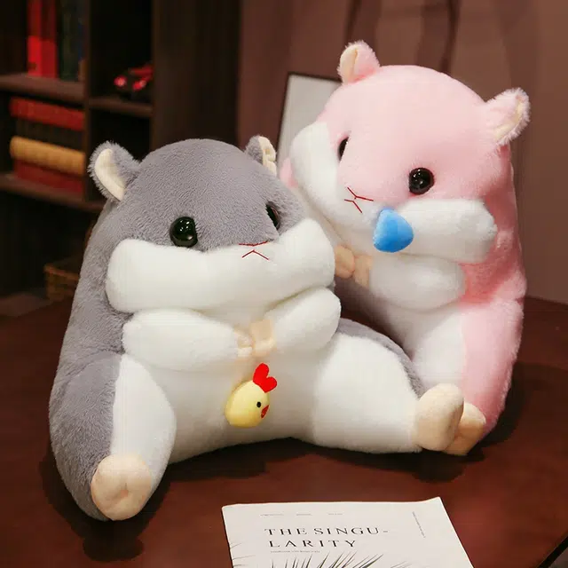 40cm55cm