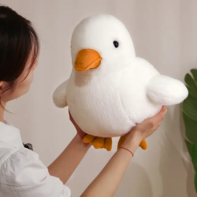 30cm40cm