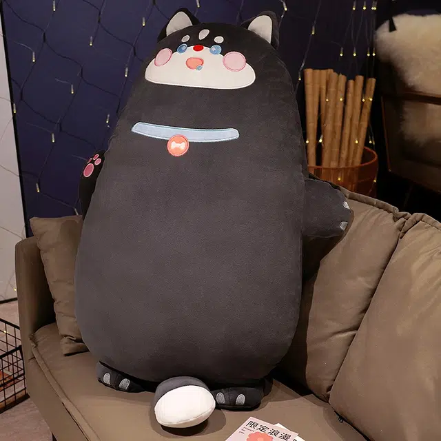 60cm80cm