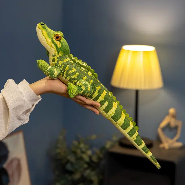 50cm70cm