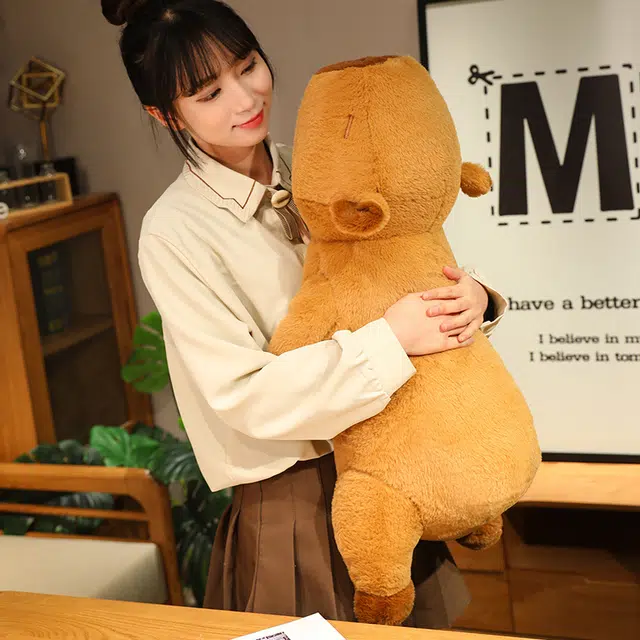 60cm80cm