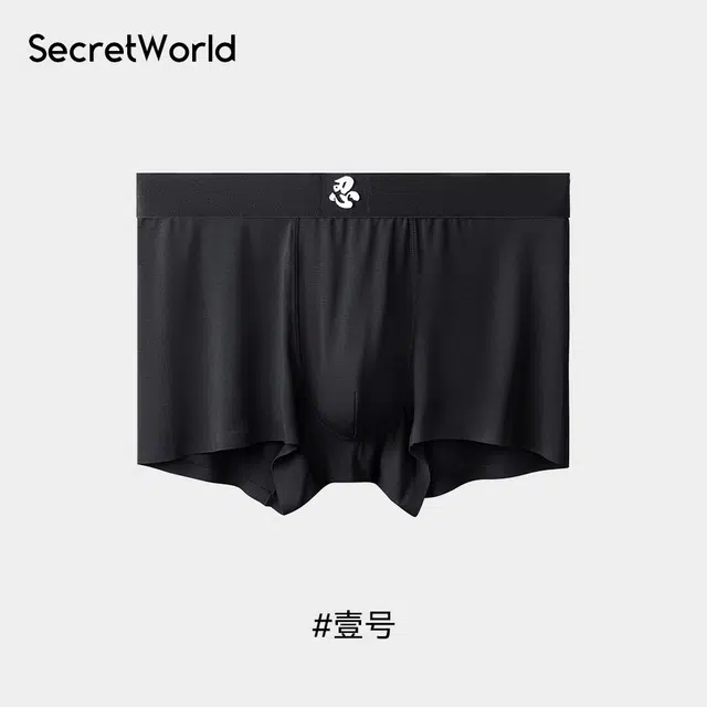 SecretWorld 1