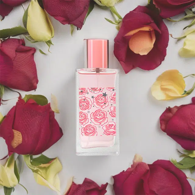 marteklifes EDP