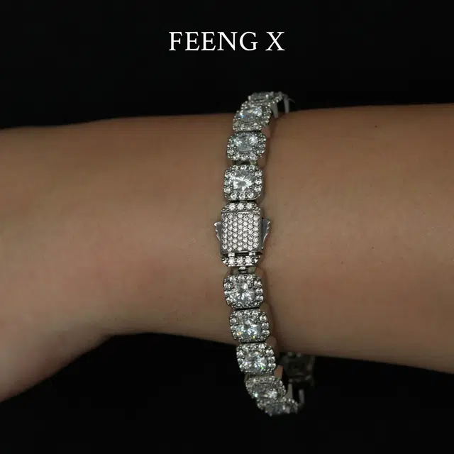 FEENG X