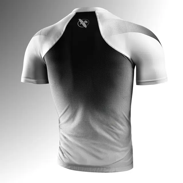 HAYABUSA T