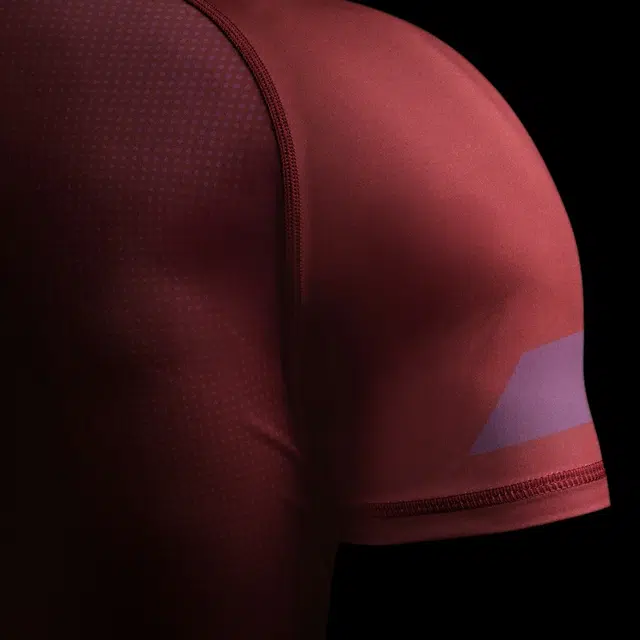 HAYABUSA