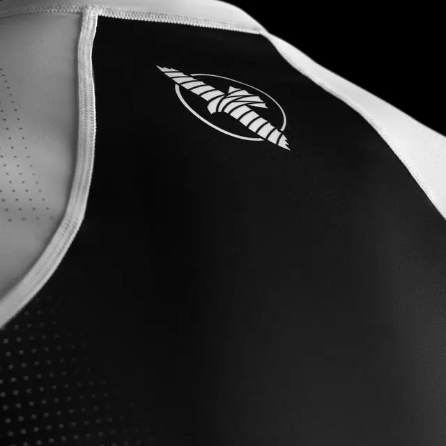 HAYABUSA T