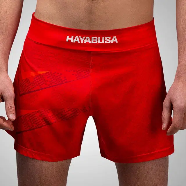 HAYABUSA