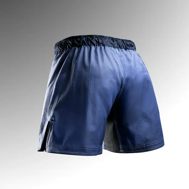 HAYABUSA MMA