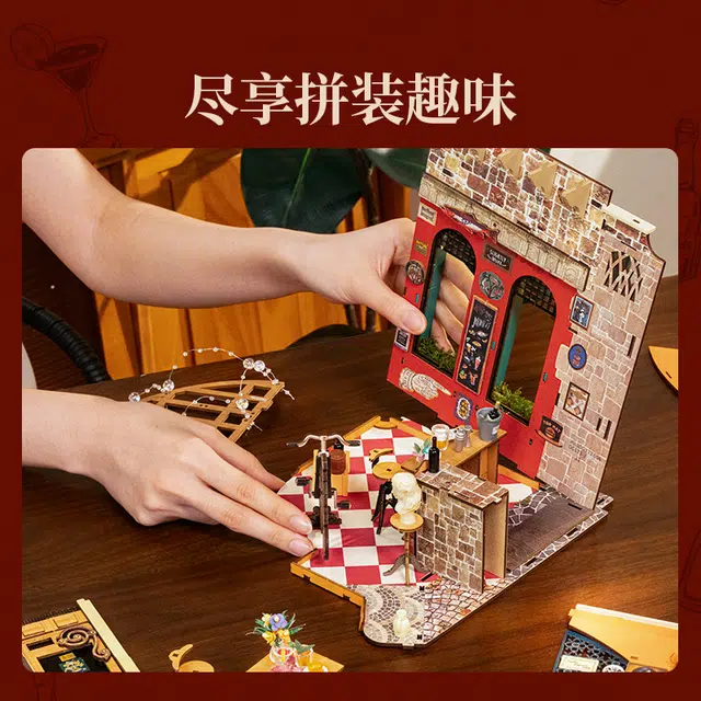 Rolife diy 312pcs DG173