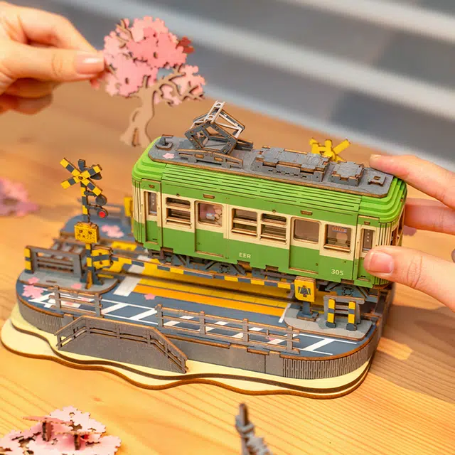 Rolife diy 223pcs TGS02