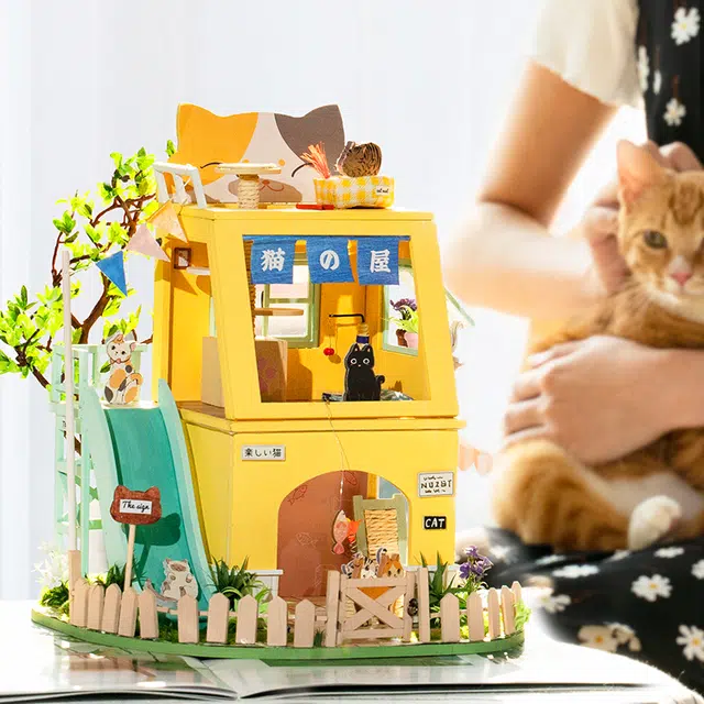 Rolife x diy 3d 248pcs DG149
