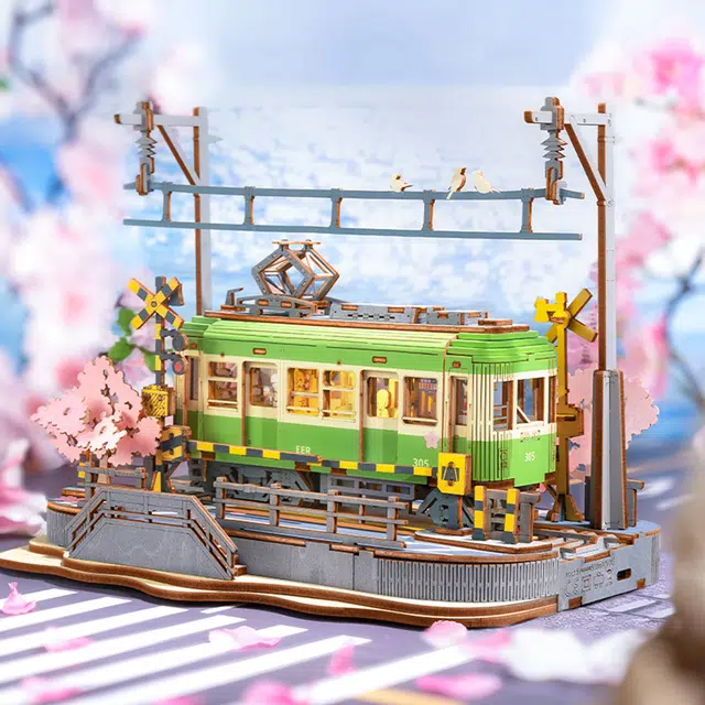 Rolife diy 223pcs TGS02