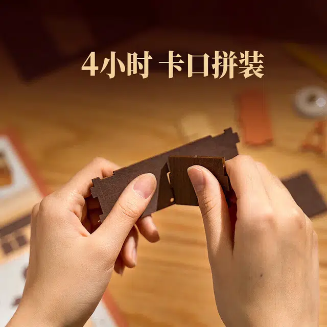 Rolife DIY DG161