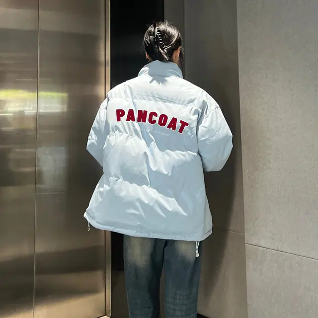 Pancoat Logo