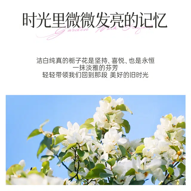 52ml EDT