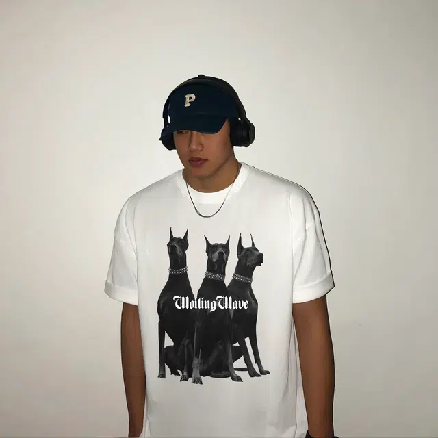 HIPHOPPUNKS T