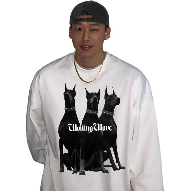 HIPHOPPUNKS