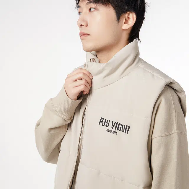 PJ's Vigor Logo