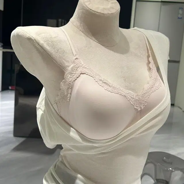Beerus Bra