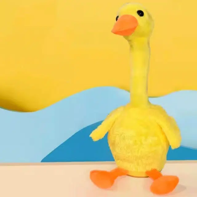 AOMN