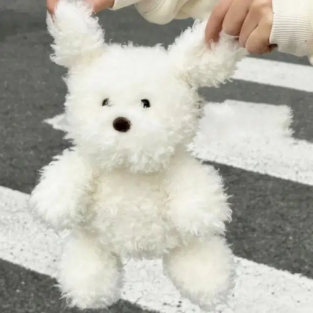 AOMN 22cm29cm
