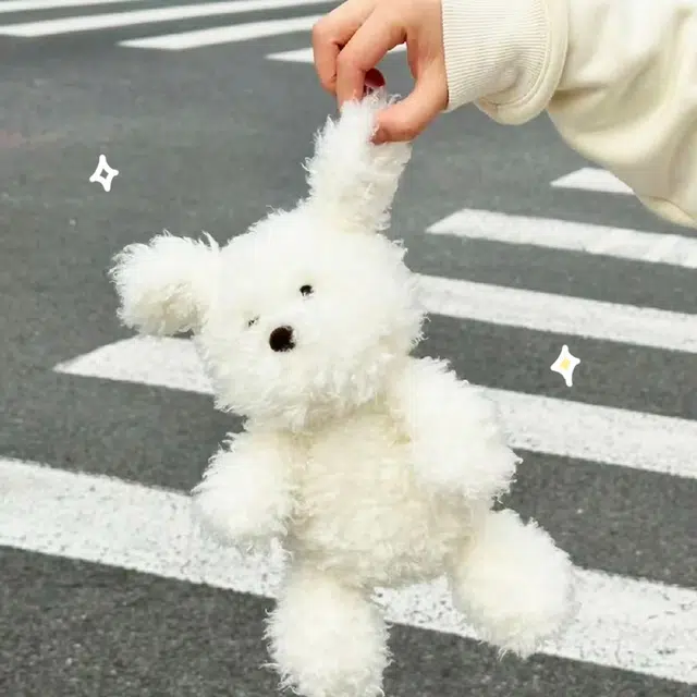 AOMN 22cm29cm