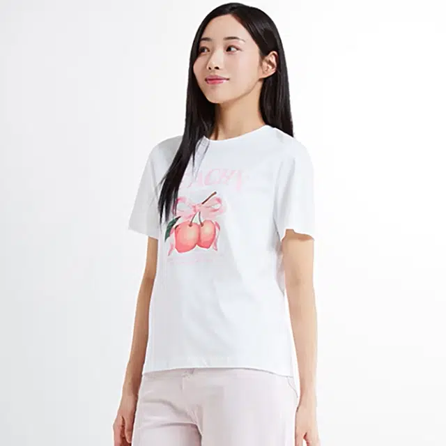 SPAO T