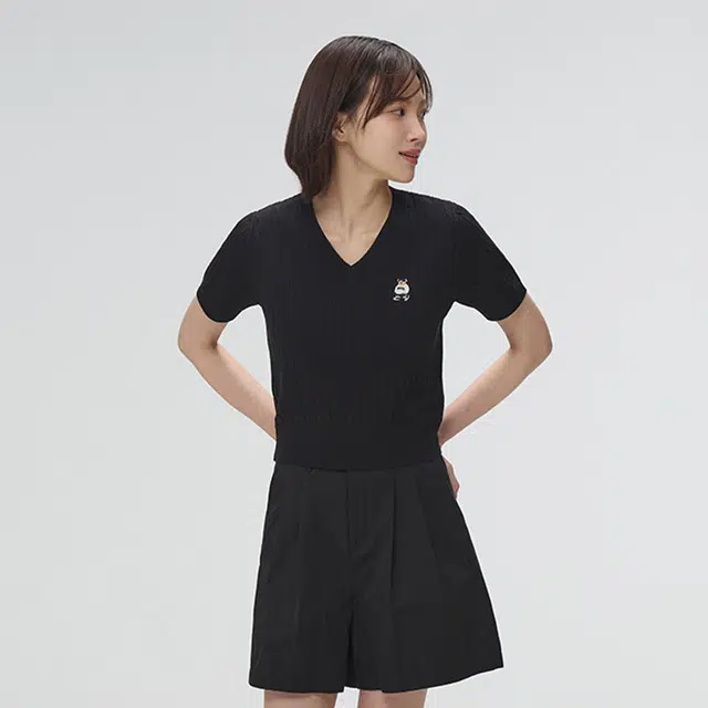 SPAO V