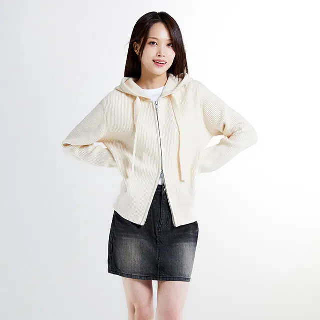 SPAO T