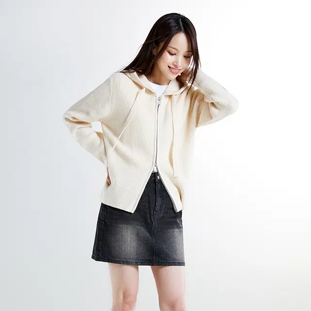 SPAO T