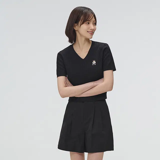 SPAO V