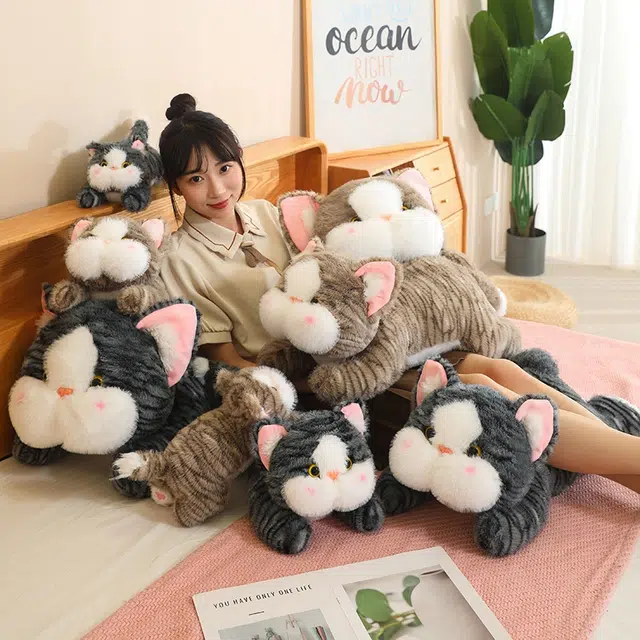 Tak bebe 30cm45cm60cm80cm