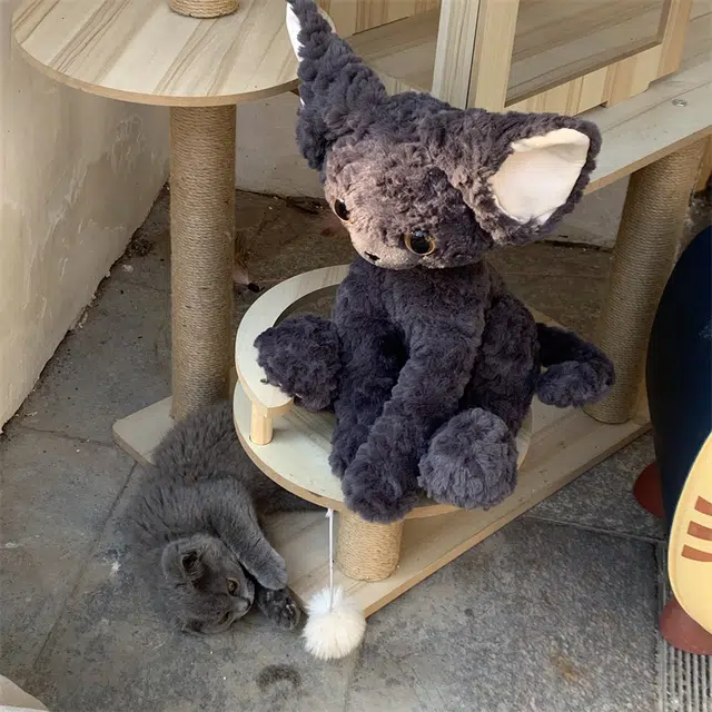 Tak bebe 40CM65CM