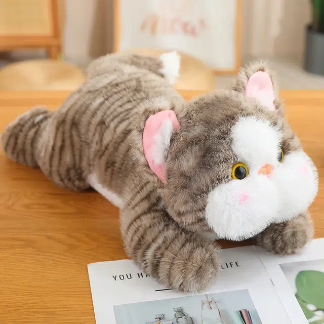 Tak bebe 30cm45cm60cm80cm