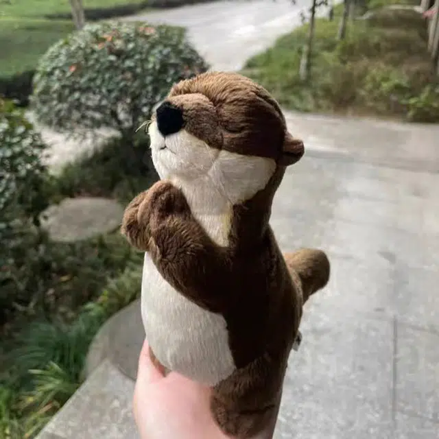 45cm
