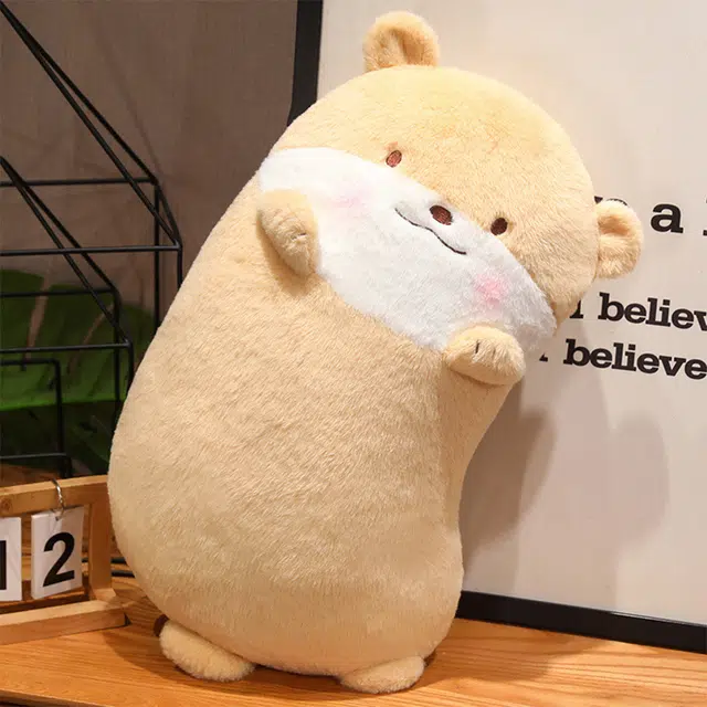 80cm