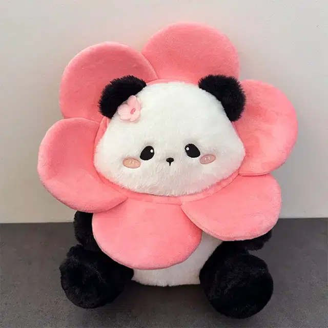 30cm50cm