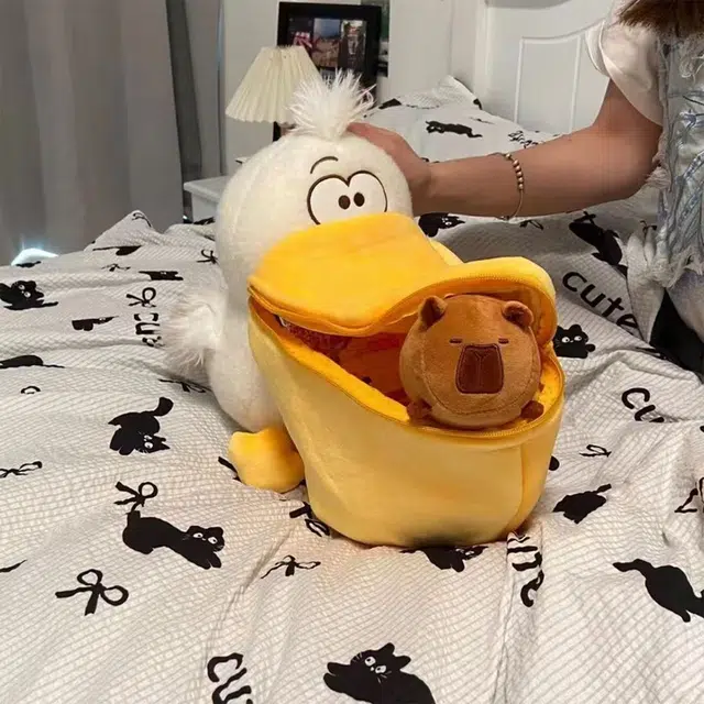 33cm50cm