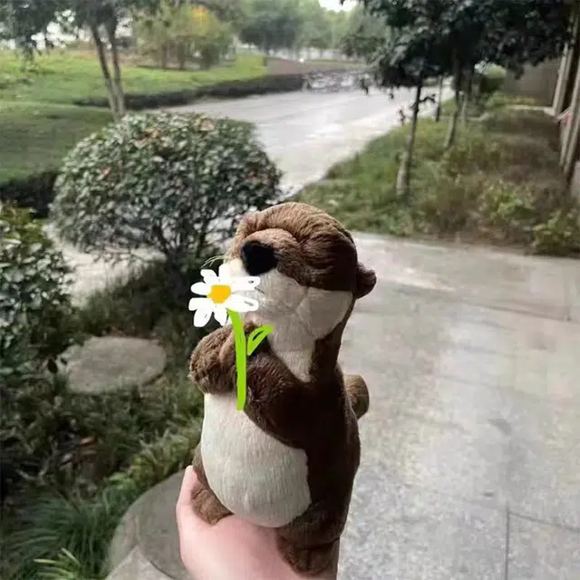 45cm