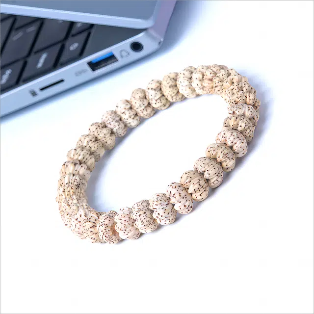 梵澜 海南原生态佛珠盘玩手把件 高密精雕莲花文玩  国风转运念珠单圈手饰 星月菩提 菩提类手串 男女同款情侣款 礼盒