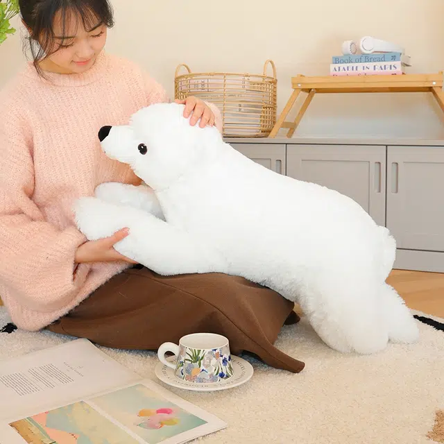 29cm60cm