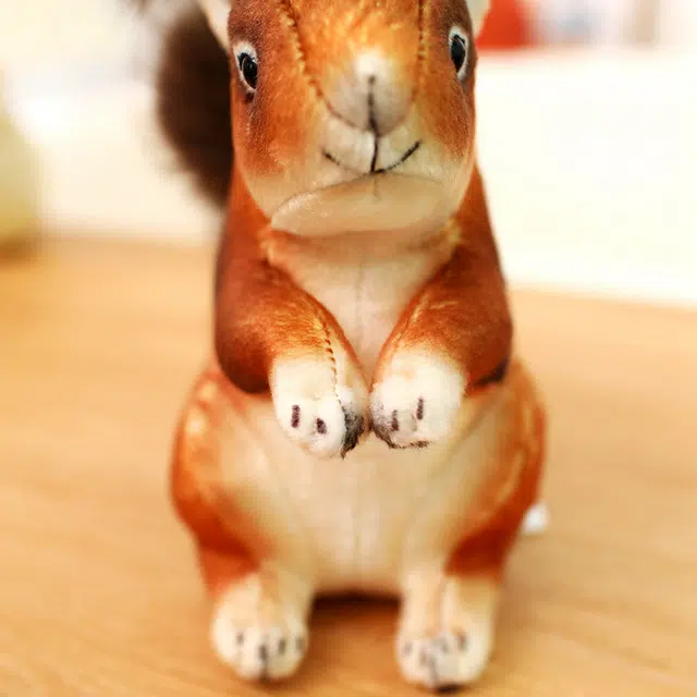 23cm