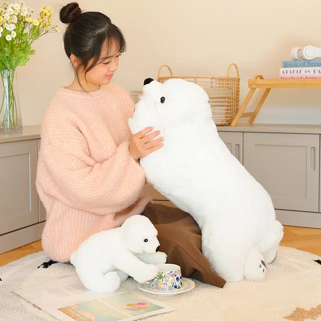29cm60cm