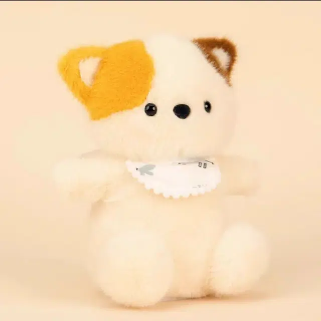 20cm