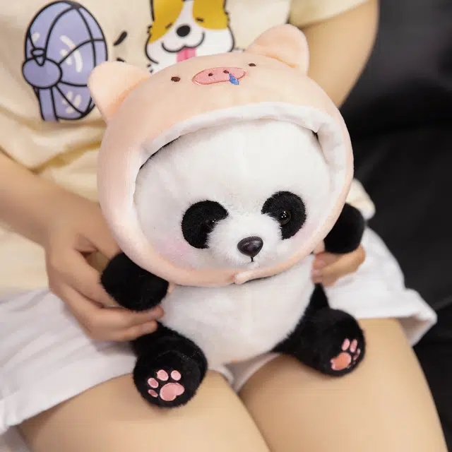 25cm