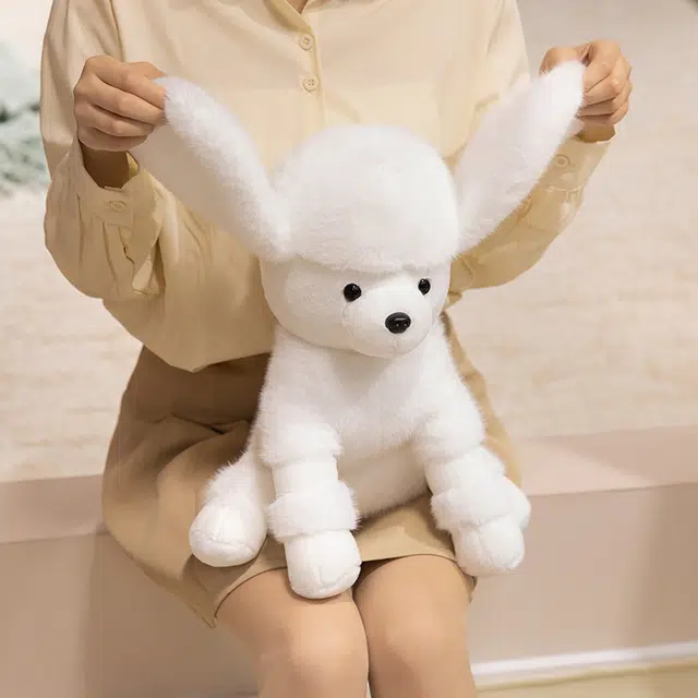 25cm35cm