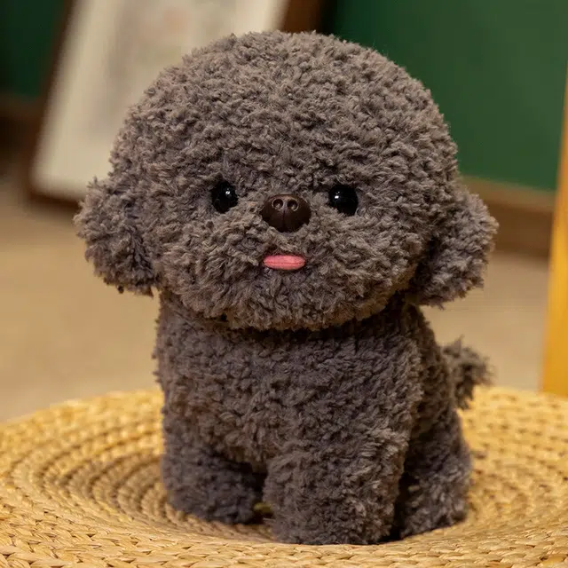 20cm30cm